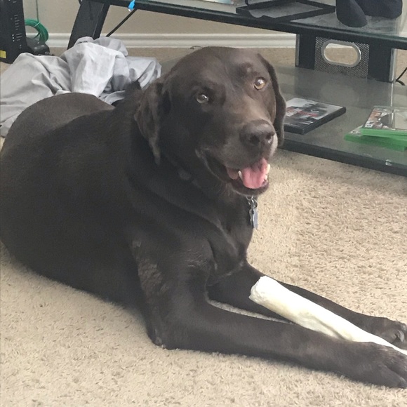 Meet your Posher, Autumn - Picture 6 of 6